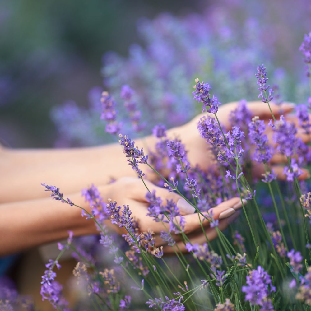 Bio Lavender Butter 20 ml