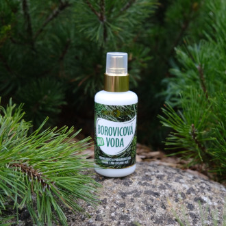 PURITY VISION Bio Pine Water 100 ml