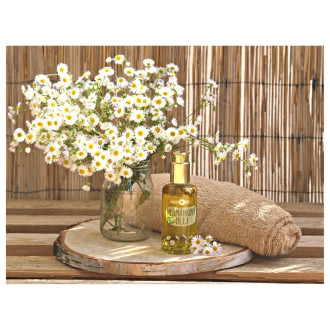 Bio Chamomile Oil 100 ml