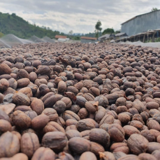 Fair Trade Bio Coffee beans Ethiopia Sidamo 250 g