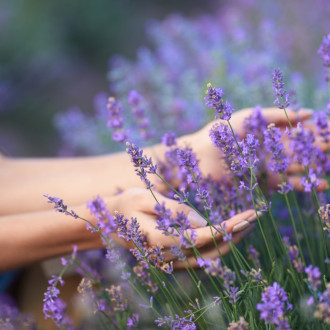 Bio Lavender Deep Regenerating Skin Oil 45 ml